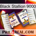 Black Stallion 9000 12